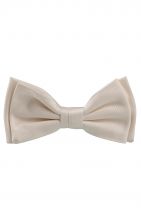 kravata Bow tie fashion 50386913