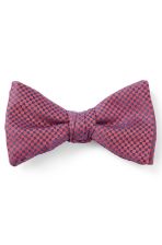 kravata Bow tie dressy 50496134