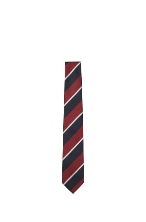 H-TIE CM 7.5 262 muška kravata 50571680
